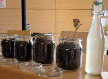 Alle Rechte vorbehalten - Walter Jung