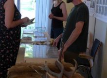 Alle Rechte vorbehalten - Walter Jung